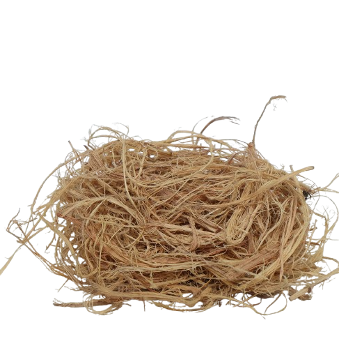Eponge Naturel Traditionnel